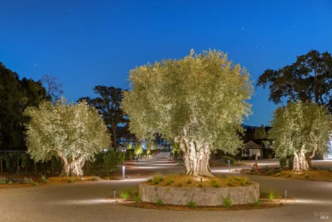 $24,777,000 | 1590 McKinley Road, Napa, CA 94558