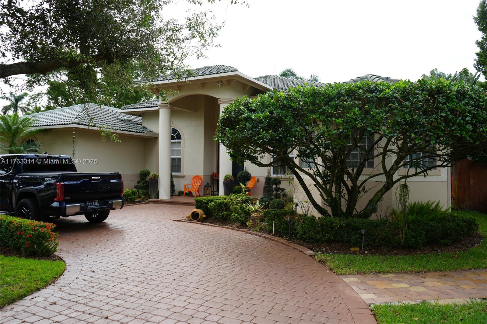 a view of a house with a small yard and a large tree