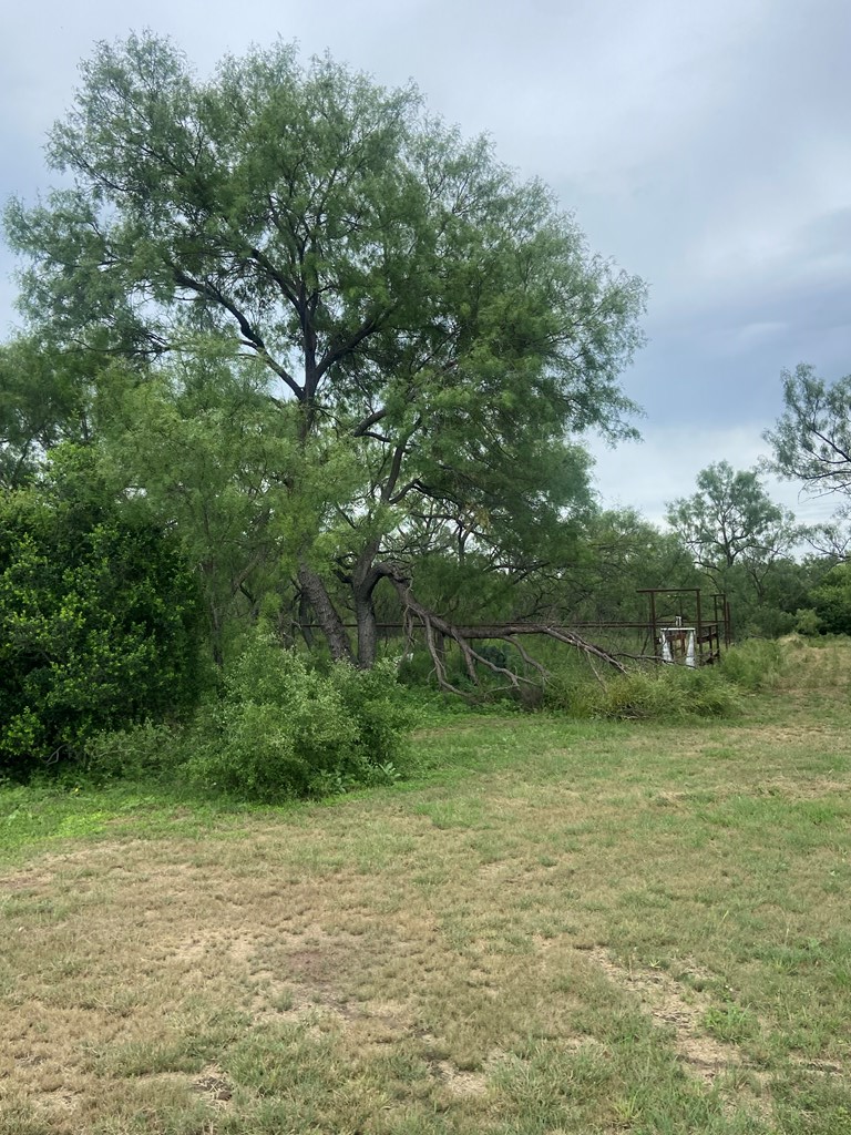 189 Par Don Road Mason, TX 76856 - Photo 9 of 11