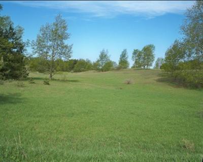 South Gordon Road, Unit 1 Scottville, MI 49454 - Photo 1 of 1 Primary Photo