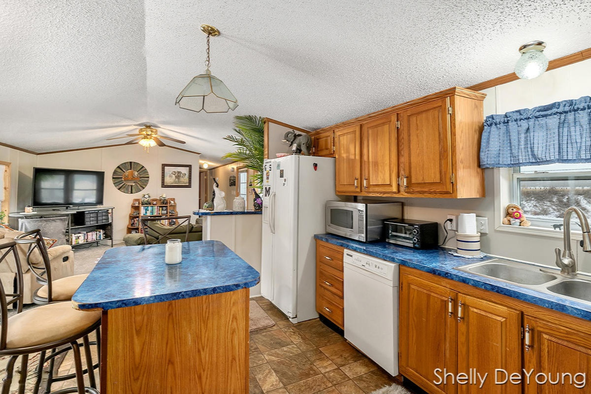 764 East Long Lake Road Fenwick, MI 48834 - Photo 6 of 16 IMG_1005