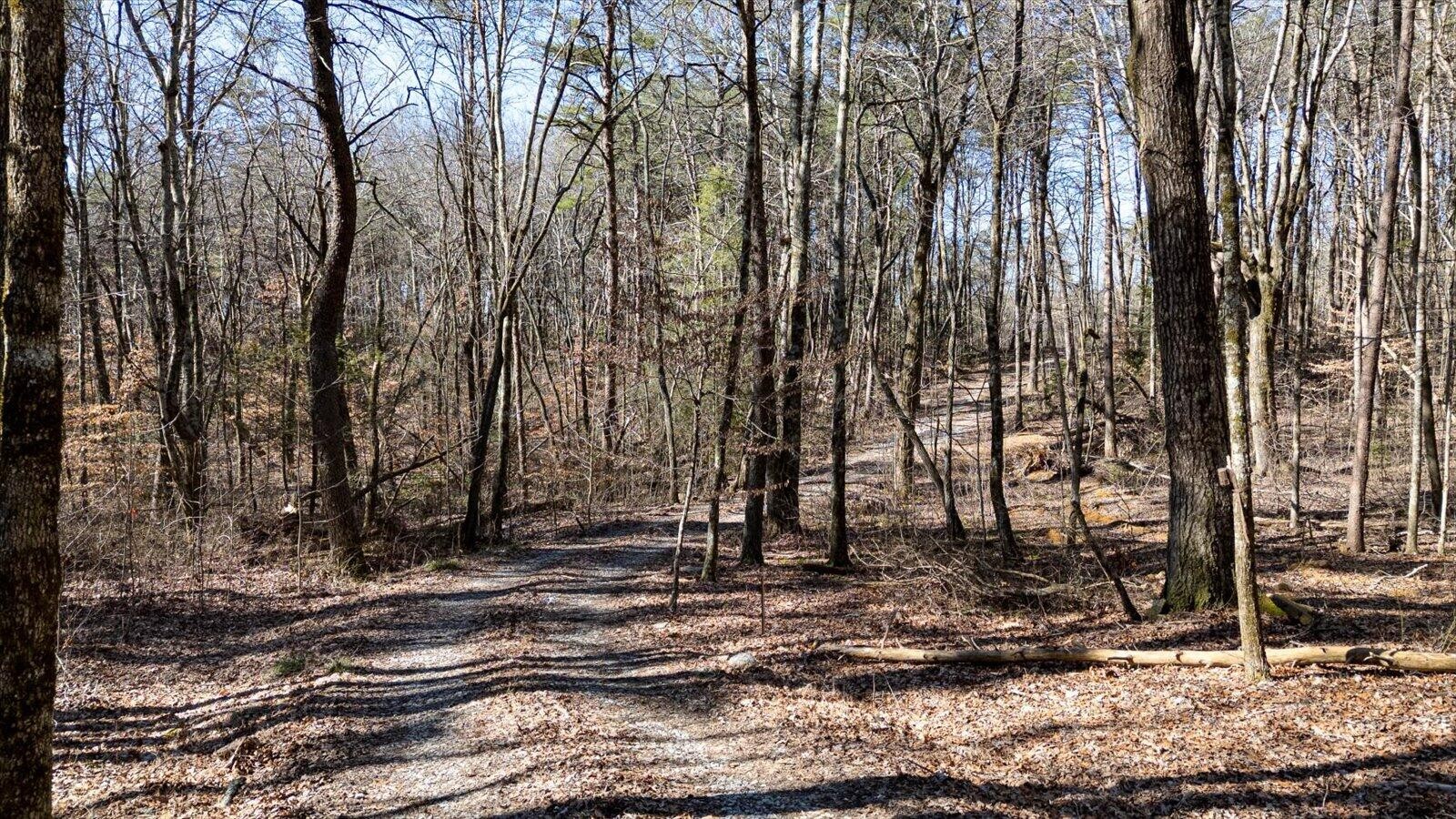 805 Dukes Road Signal Mountain, TN 37377 - Photo 11 of 33 Gallery Image 11
