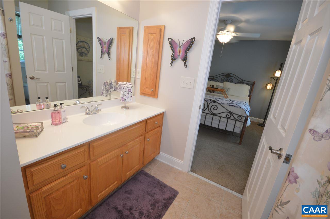401 Sam Durrer Road Ruckersville, VA 22968 - Photo 20 of 50 a bathroom with a sink a mirror and a toilet