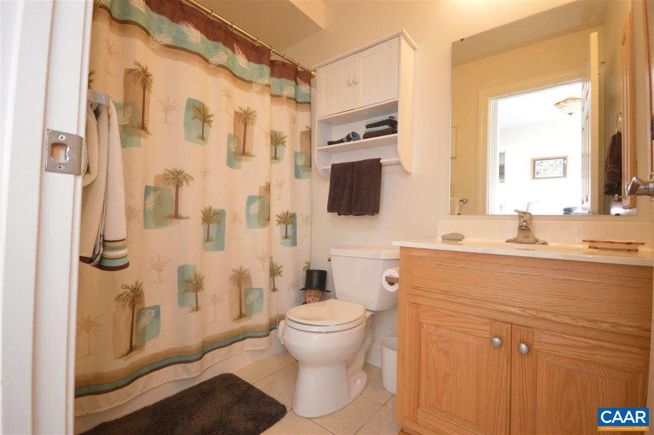 401 Sam Durrer Road Ruckersville, VA 22968 - Photo 31 of 50 a bathroom with a sink toilet a mirror and shower