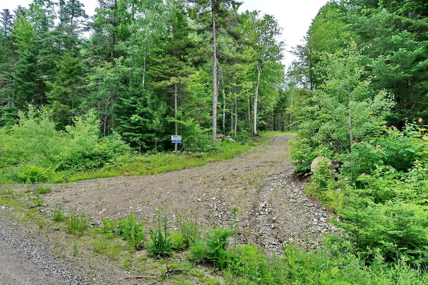 0 Beech Hill Road Bethlehem, NH 03574 - Photo 1 of 20 Gallery Image 1