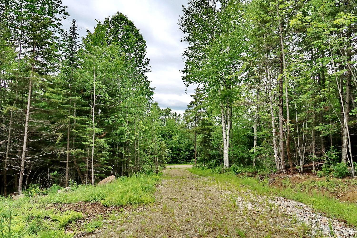 0 Beech Hill Road Bethlehem, NH 03574 - Photo 11 of 20 Gallery Image 11