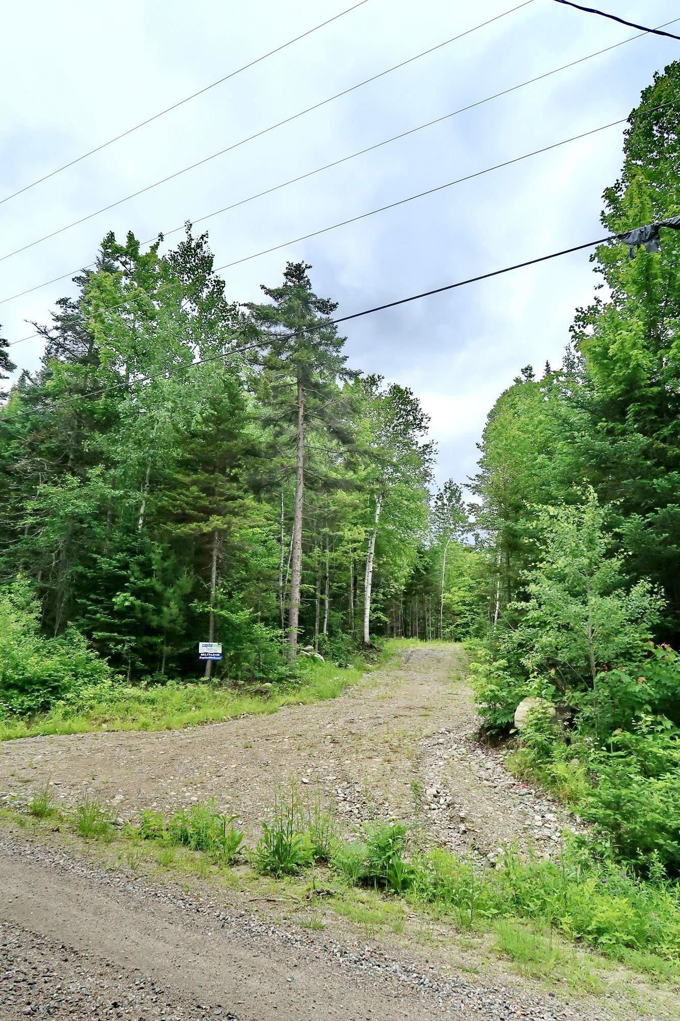 0 Beech Hill Road Bethlehem, NH 03574 - Photo 14 of 20 Gallery Image 14