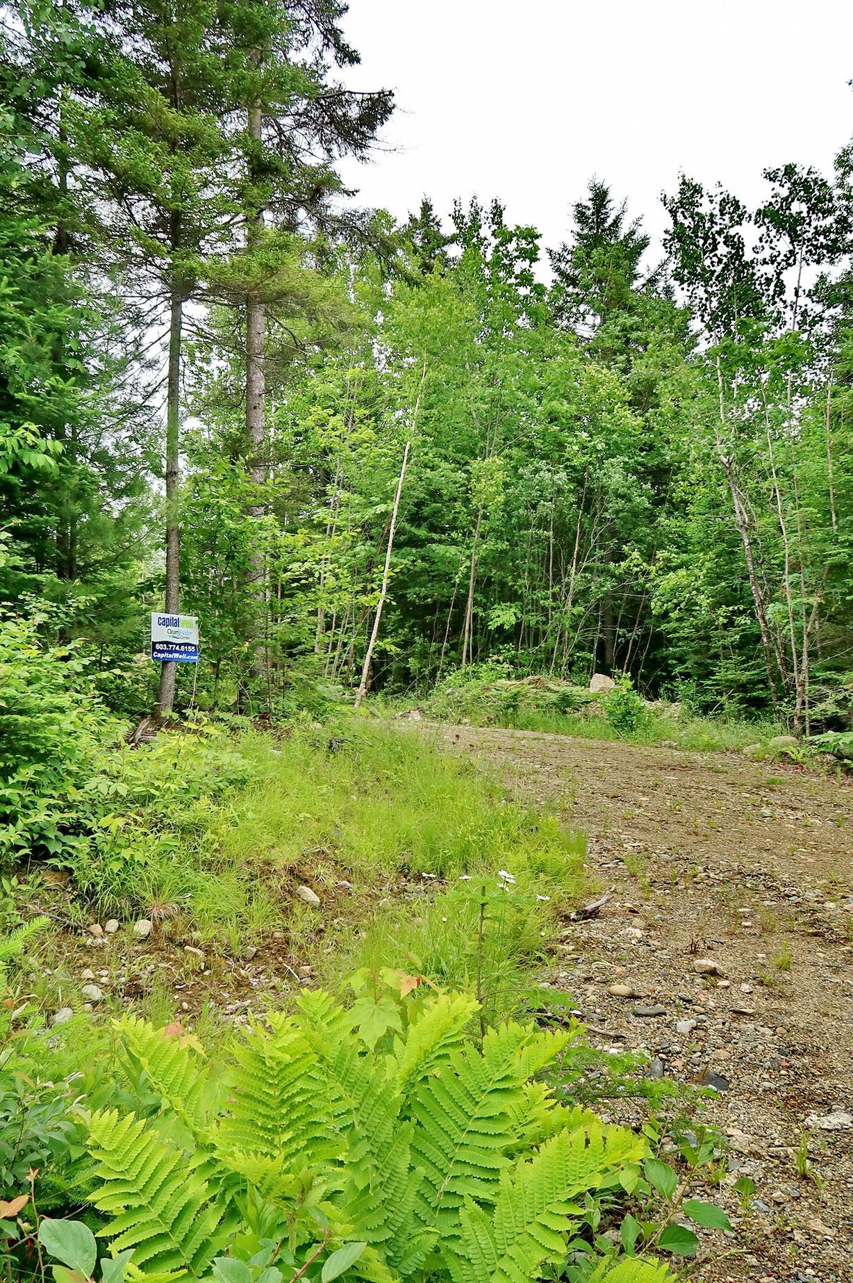 0 Beech Hill Road Bethlehem, NH 03574 - Photo 20 of 20 Gallery Image 20