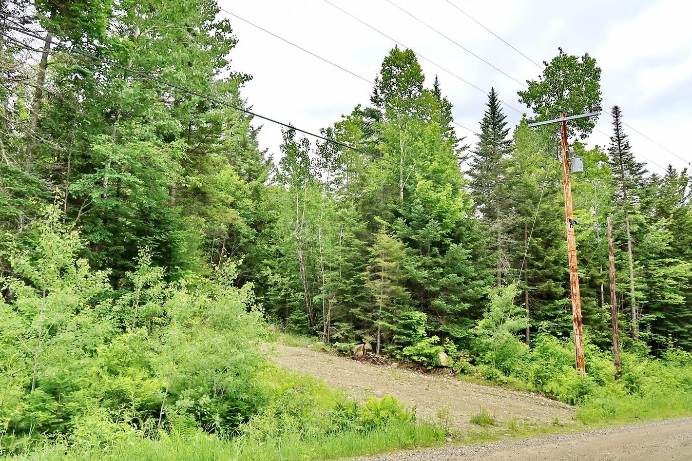 0 Beech Hill Road Bethlehem, NH 03574 - Photo 2 of 20 Gallery Image 2