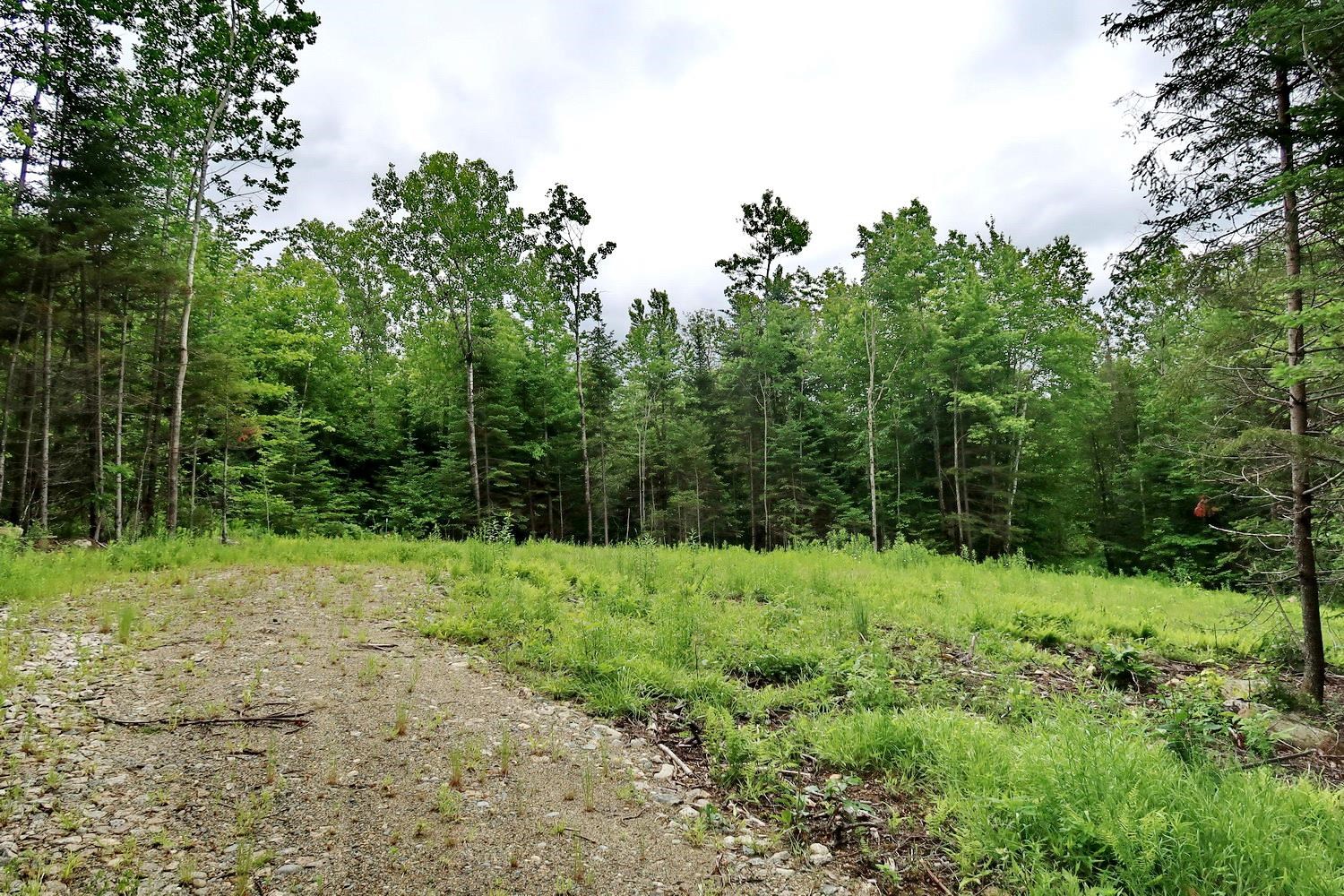 0 Beech Hill Road Bethlehem, NH 03574 - Photo 4 of 20 Gallery Image 4