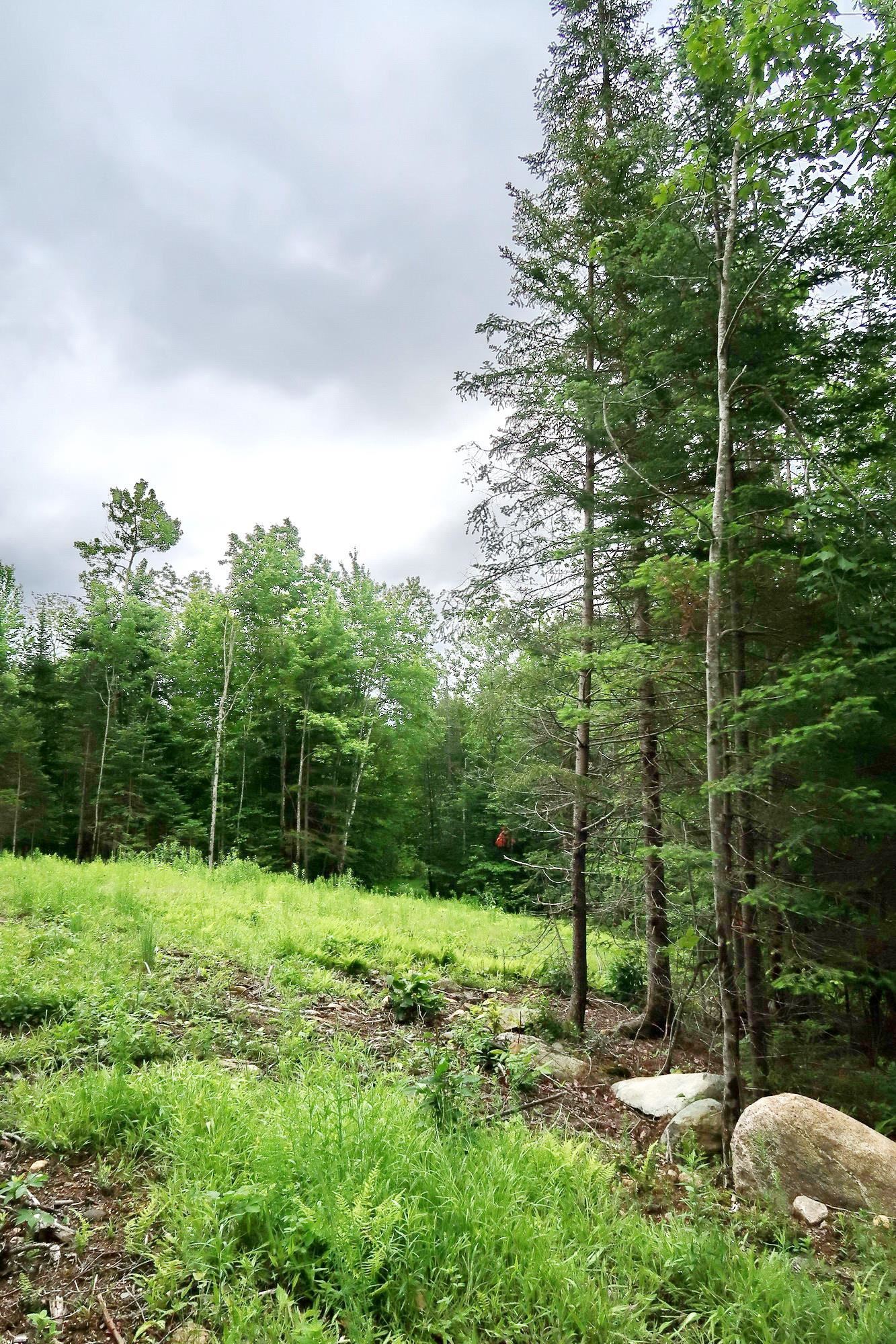 0 Beech Hill Road Bethlehem, NH 03574 - Photo 5 of 20 Gallery Image 5
