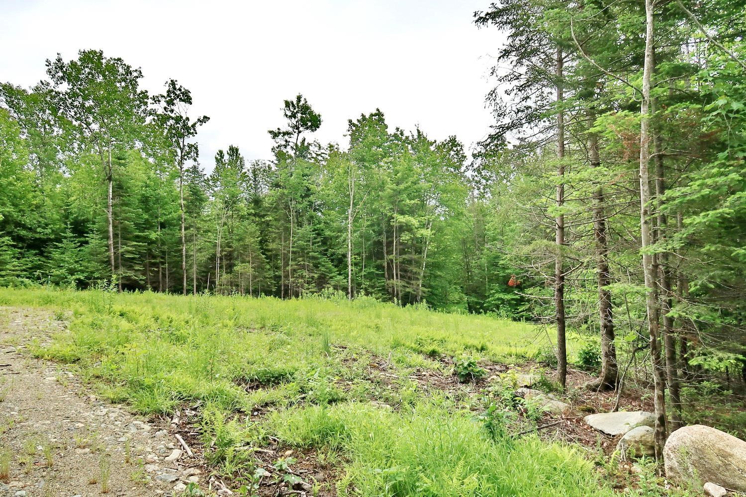 0 Beech Hill Road Bethlehem, NH 03574 - Photo 6 of 20 Gallery Image 6
