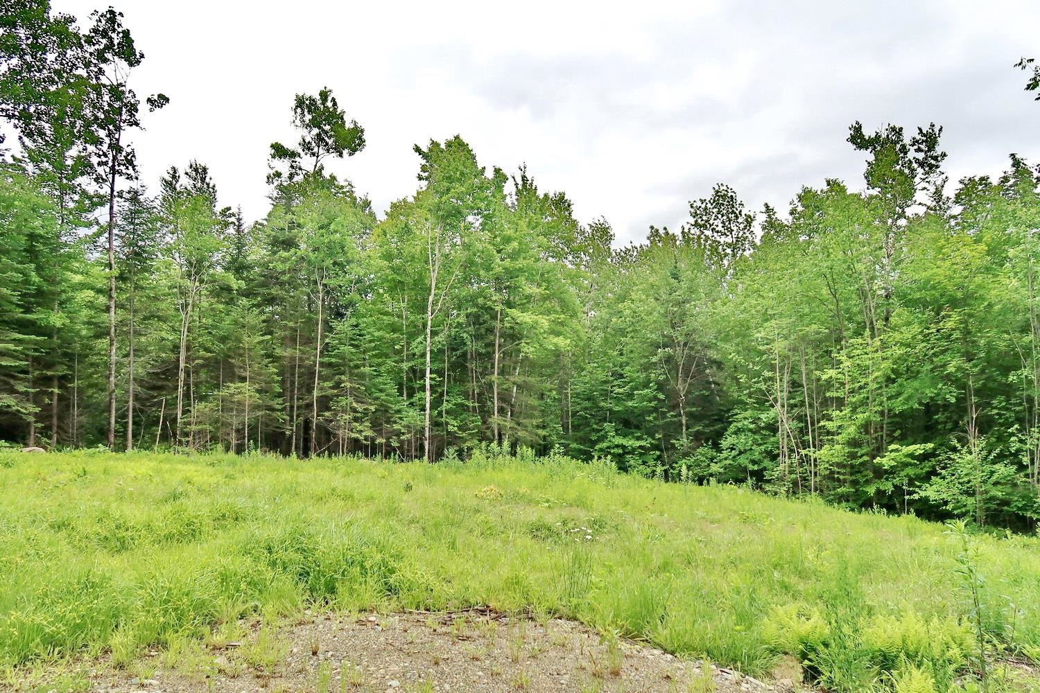 0 Beech Hill Road Bethlehem, NH 03574 - Photo 7 of 20 Gallery Image 7