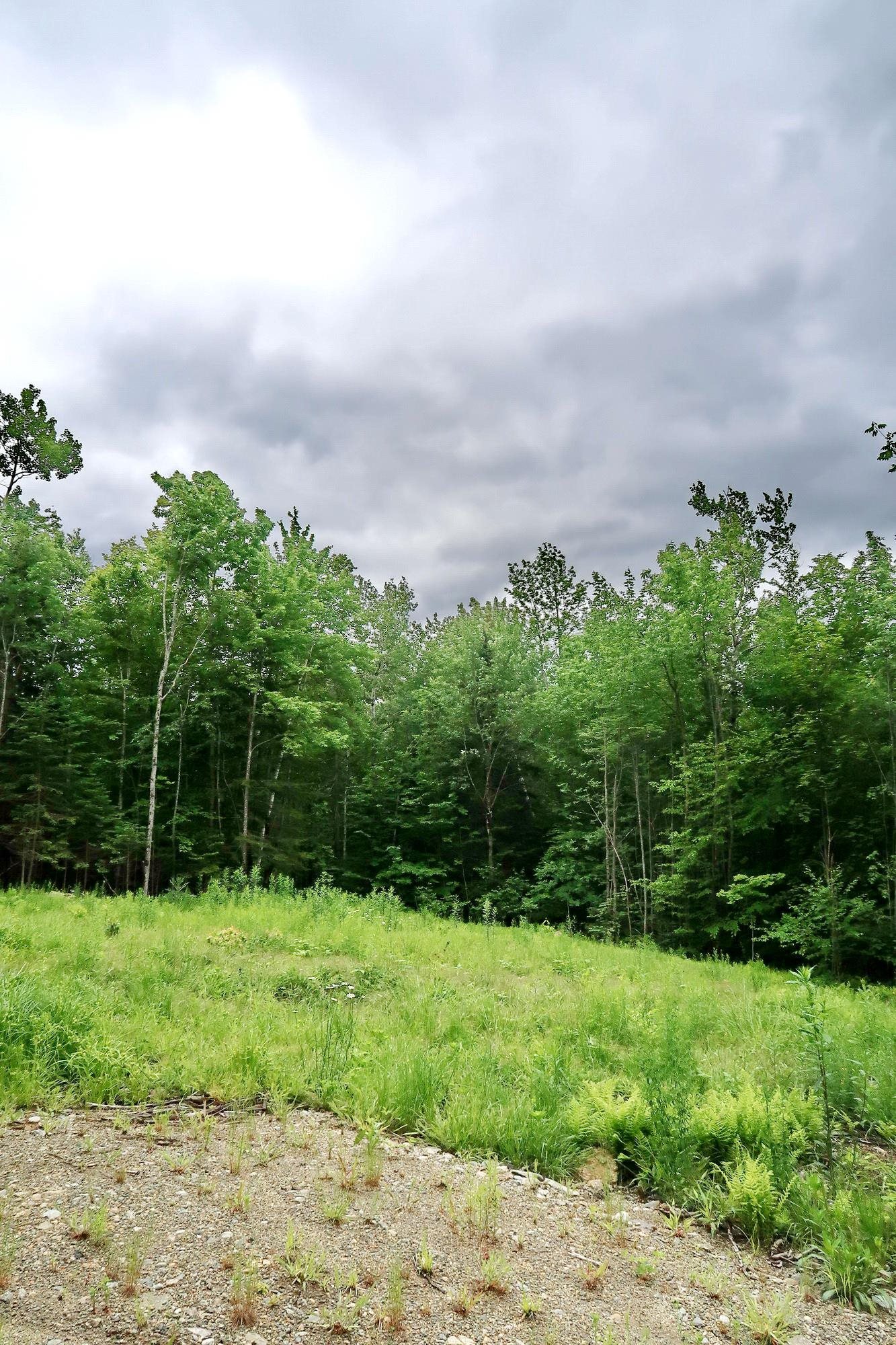 0 Beech Hill Road Bethlehem, NH 03574 - Photo 8 of 20 Gallery Image 8