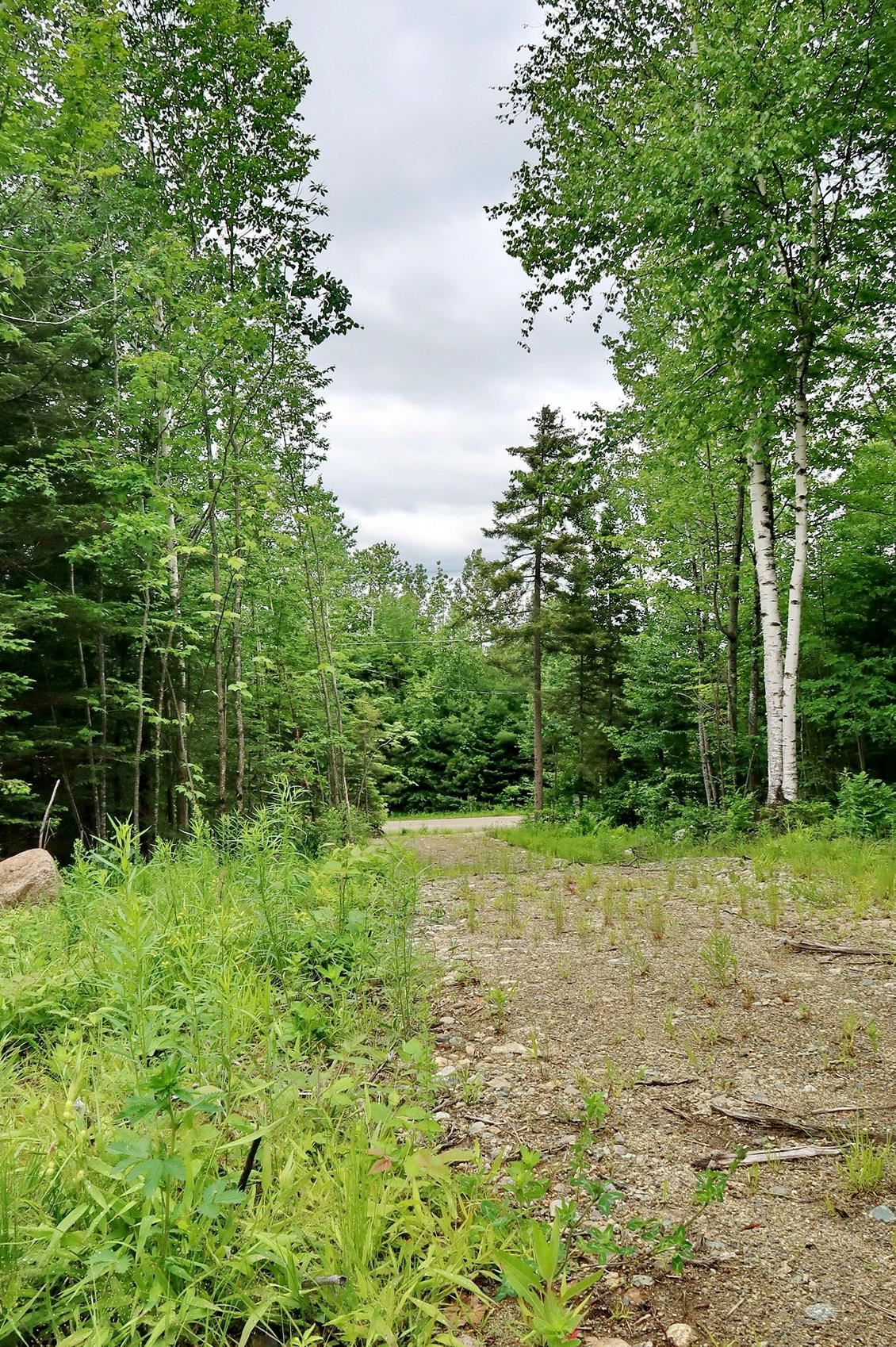 0 Beech Hill Road Bethlehem, NH 03574 - Photo 9 of 20 Gallery Image 9