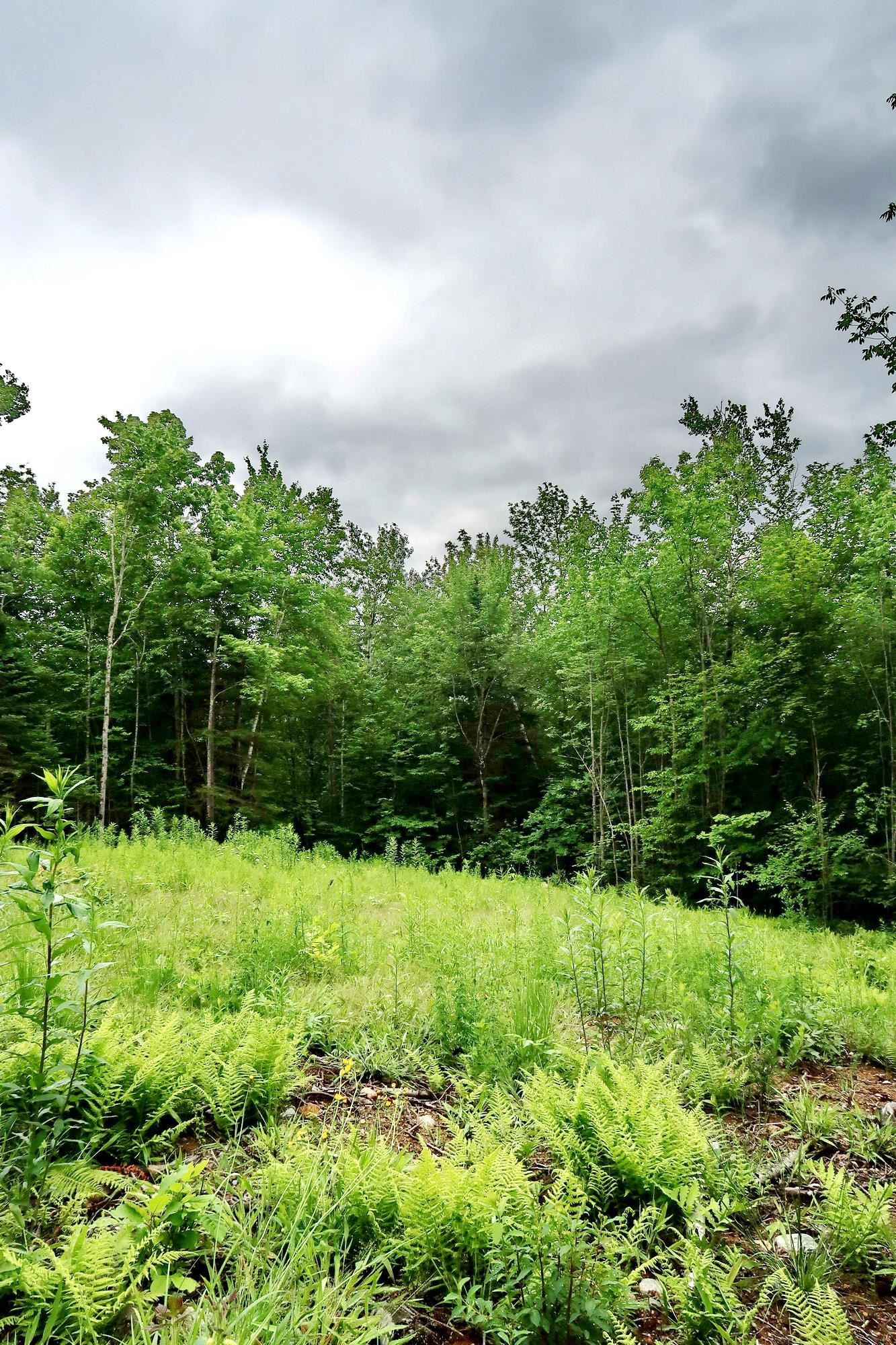 0 Beech Hill Road Bethlehem, NH 03574 - Photo 10 of 20 Gallery Image 10