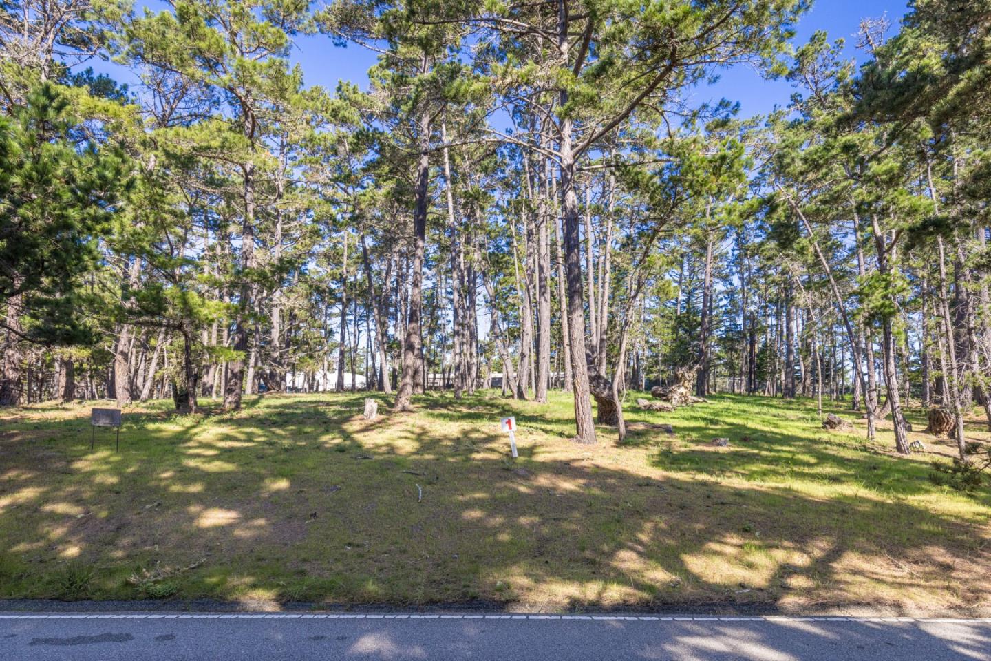 1401 Viscaino Road Pebble Beach, CA 93953 - Photo 5 of 12