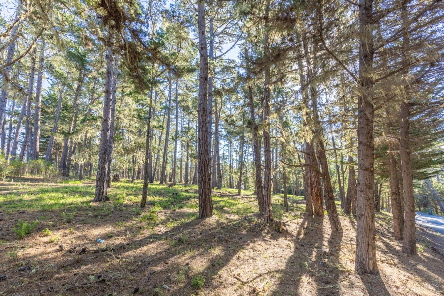 1401 Viscaino Road Pebble Beach, CA 93953 - Photo 6 of 12