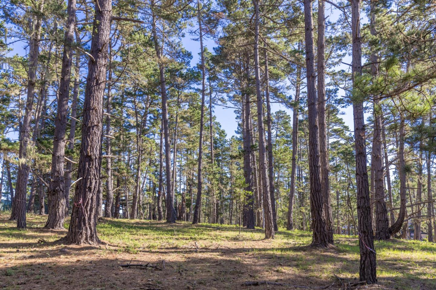 1401 Viscaino Road Pebble Beach, CA 93953 - Photo 7 of 12