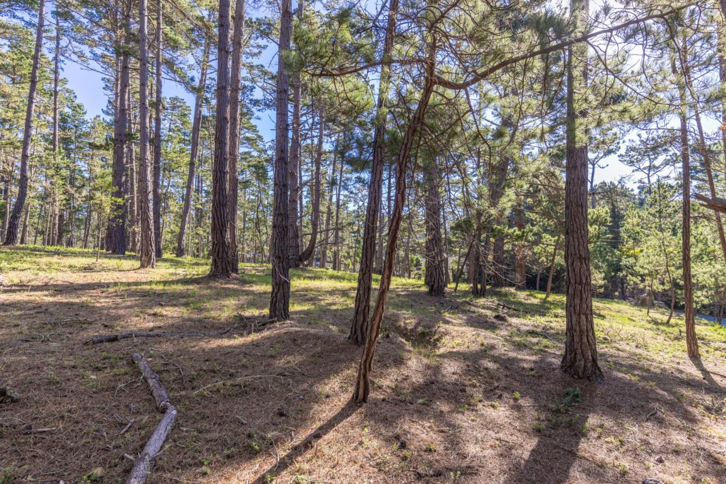 1401 Viscaino Road Pebble Beach, CA 93953 - Photo 8 of 12