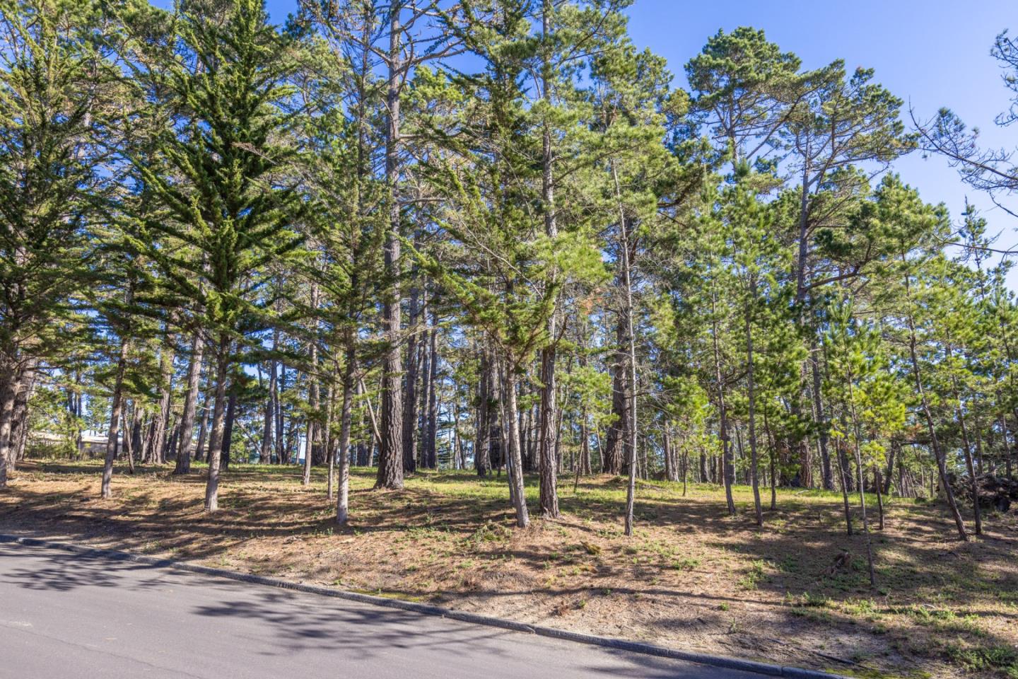 1401 Viscaino Road Pebble Beach, CA 93953 - Photo 9 of 12