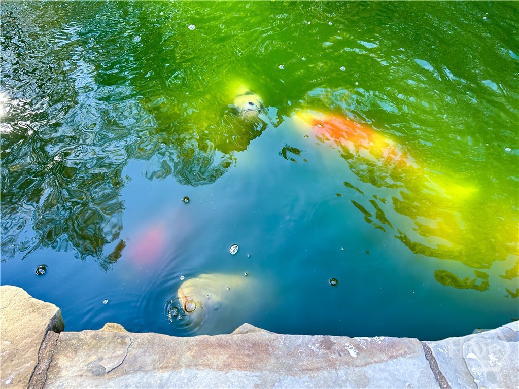 347 Clarksboro Drive Athens, GA 30607 - Photo 58 of 68