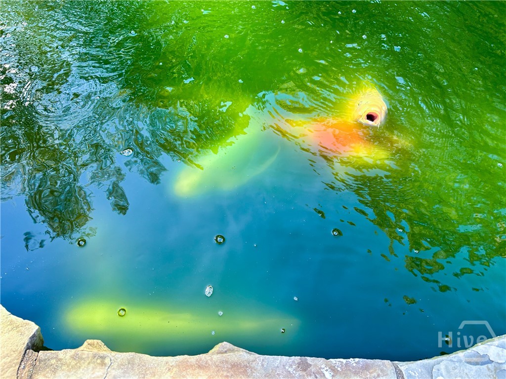 347 Clarksboro Drive Athens, GA 30607 - Photo 59 of 68