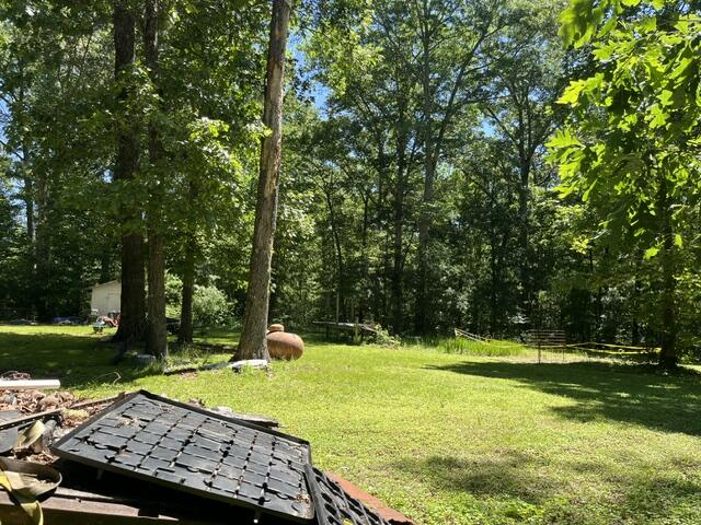 362 Cullen Savage Road Palmer, TN 37365 - Photo 26 of 76 IMG_7164