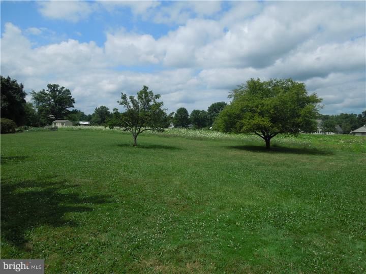 35 Church Road Telford, PA 18969 - Photo 7 of 24 Back Yard
