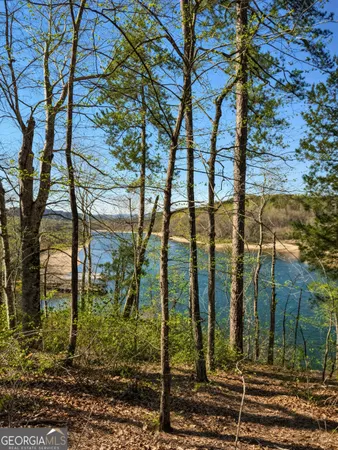$799,900 | 333 Laurel Mountain Drive, Toccoa, GA 30577