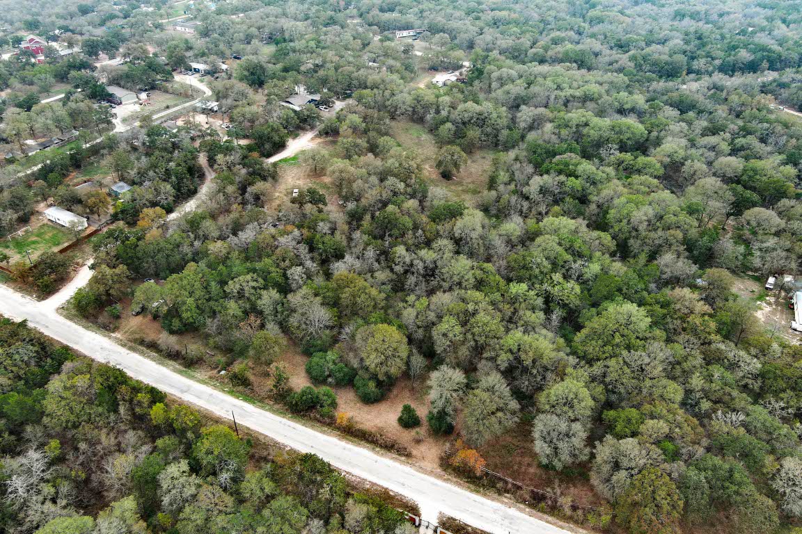 233 The Forest Road Dale, TX 78616 - Photo 10 of 15 a view of a forest from a window