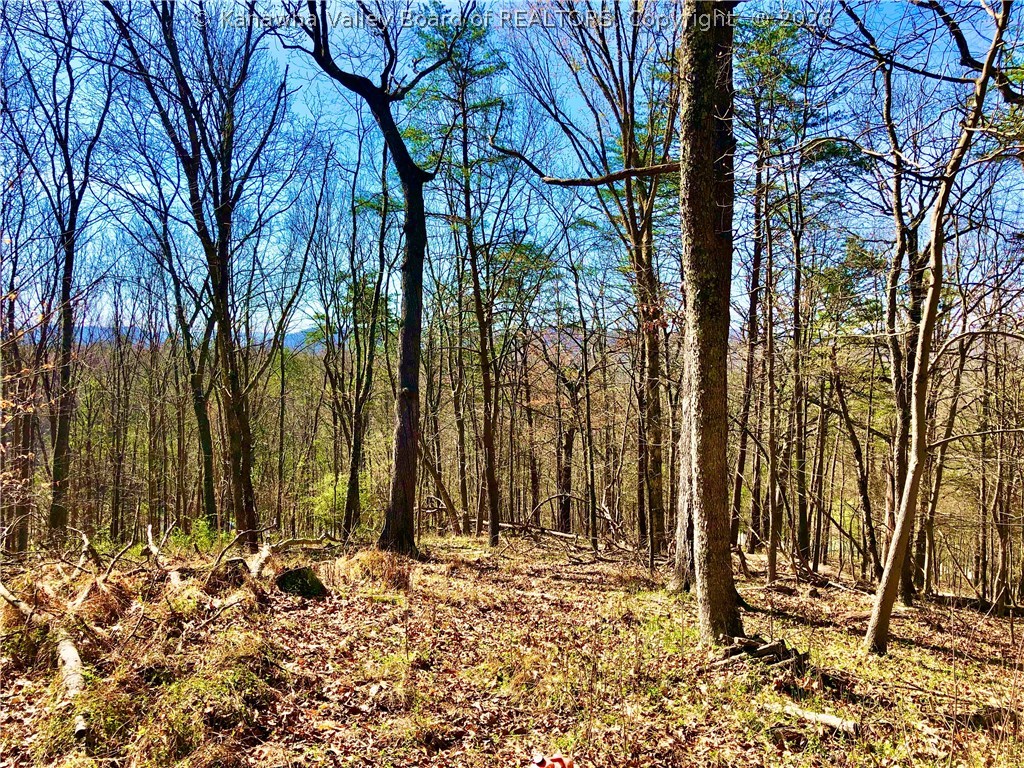 328 Kens Lake Estates Road Winfield, WV 25213 - Photo 1 of 14 Gallery Image 1