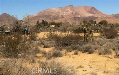 7494 Mojave-Tropico Road Mojave, CA 93501 - Photo 2 of 5