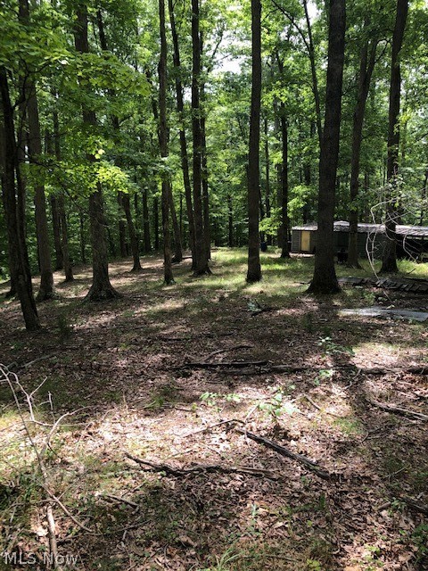 Chanteclair Road Cairo, WV 26337 - Photo 6 of 21