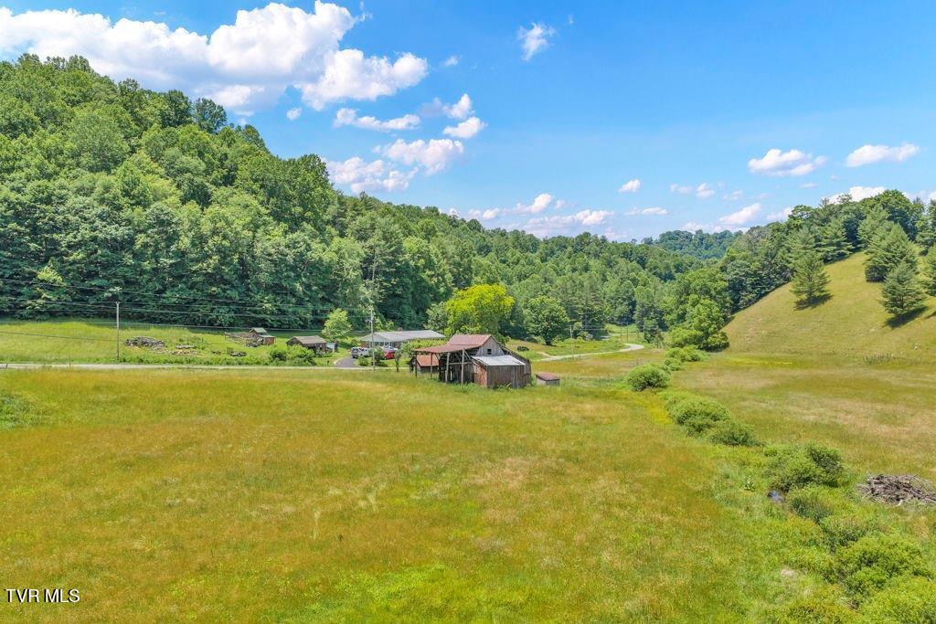 150 Fred Price Road Mountain City, TN 37683 - Photo 3 of 35 4