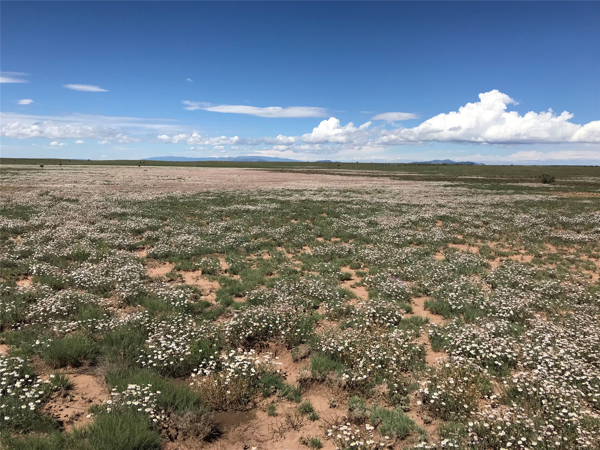 26262 US Highway 285 Ribera, NM 87560 - Photo 40 of 46