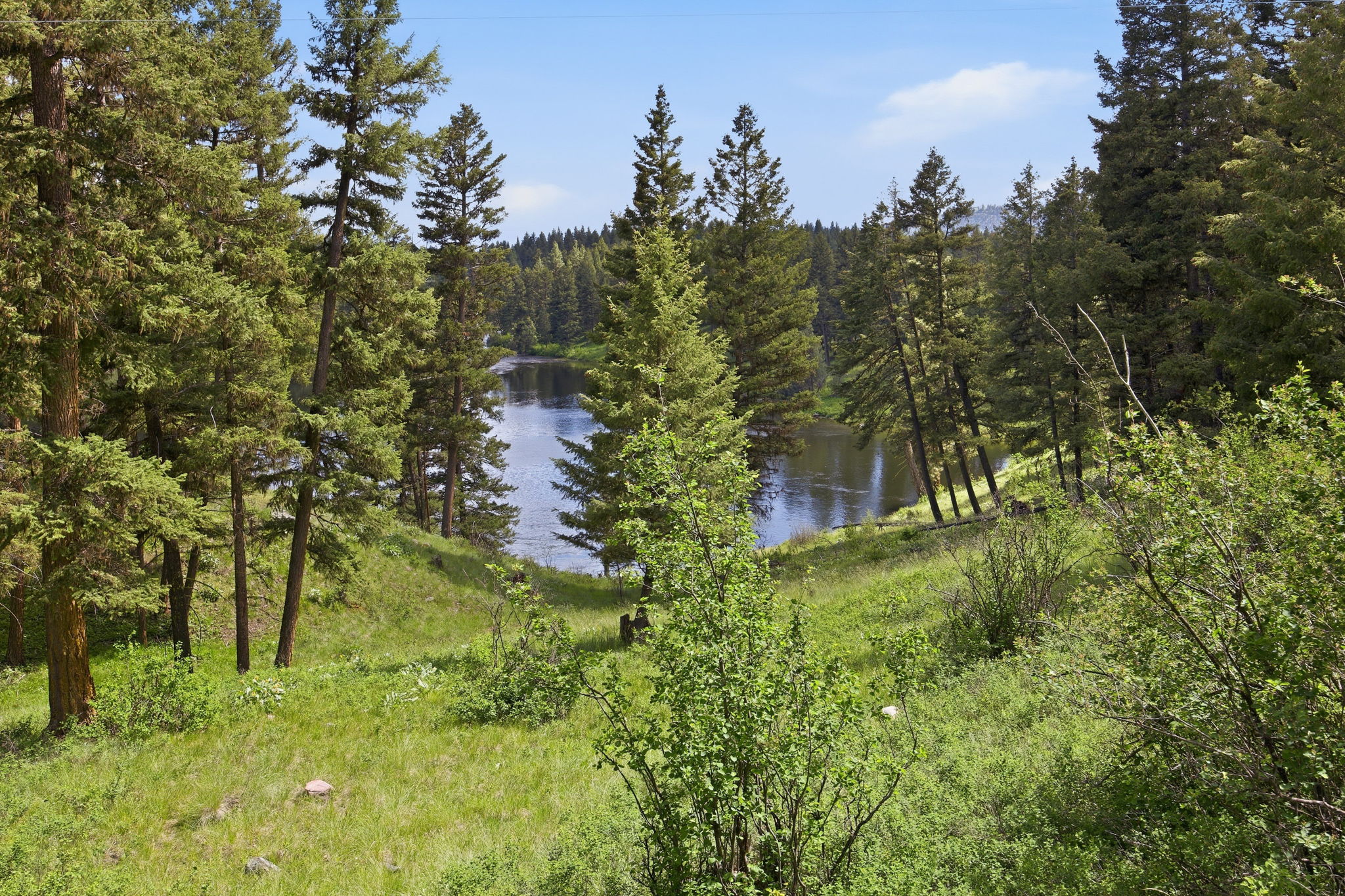 3 Big Waters Ranch Road Seeley Lake, MT 59868 - Photo 7 of 49 Gallery Image 7