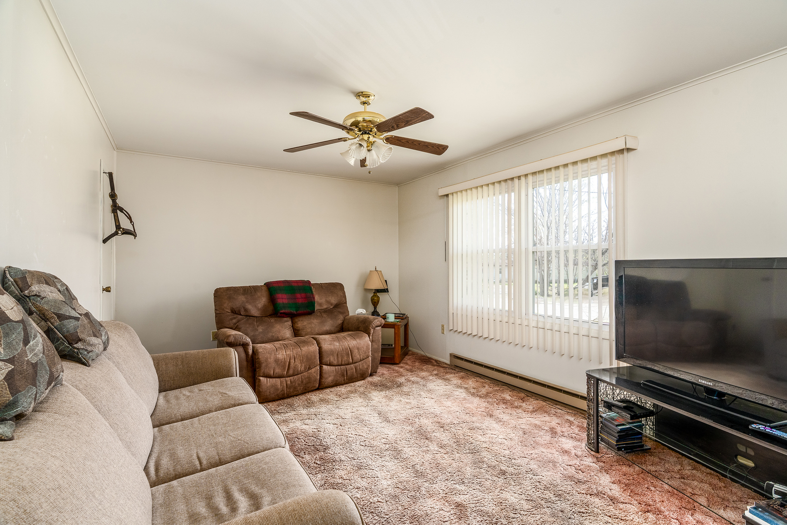 306 White Street Creal Springs, IL 62922 - Photo 7 of 36 a living room with furniture a flat screen tv and a window
