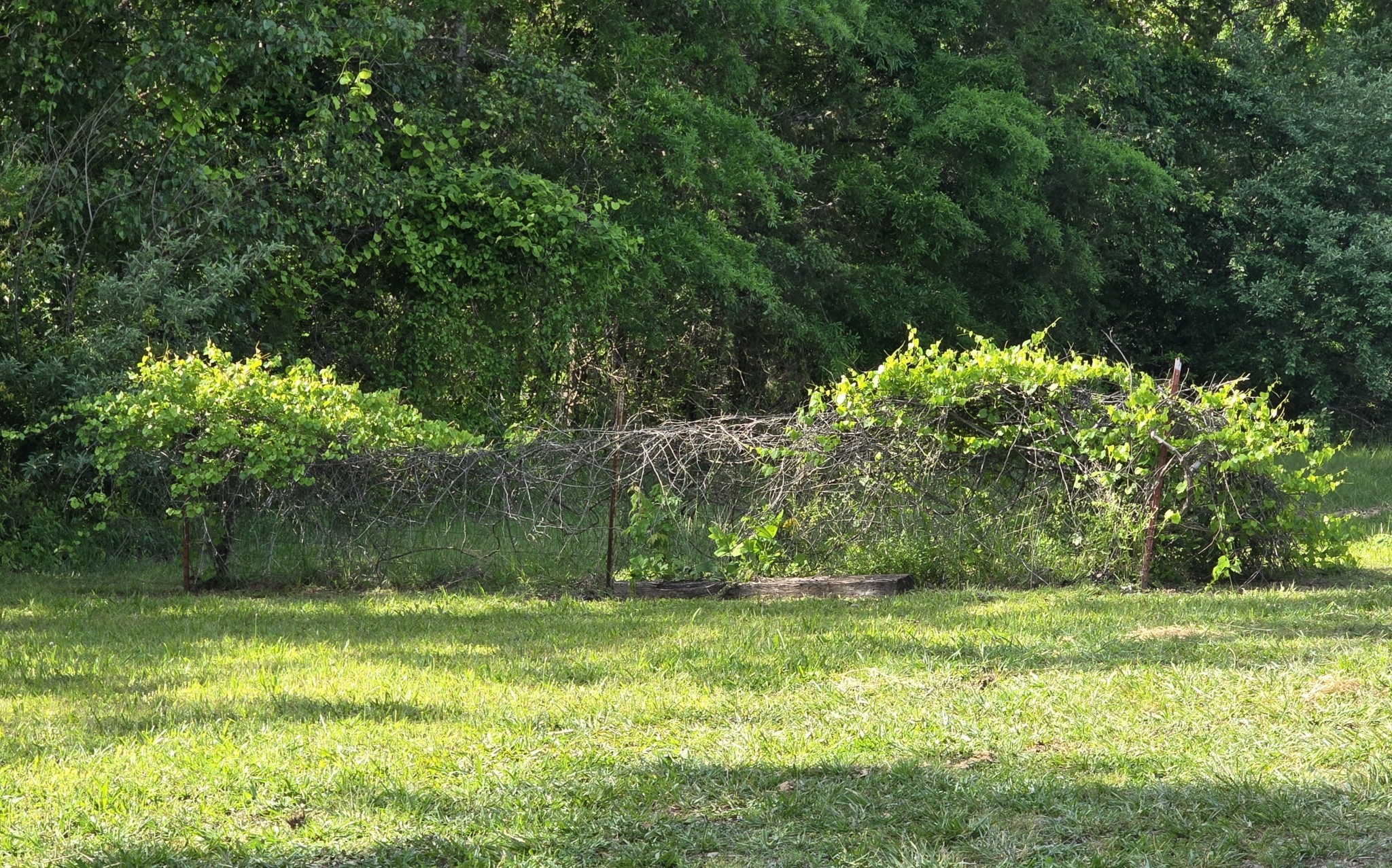 838 Herrin Road Morrison, TN 37357 - Photo 33 of 36