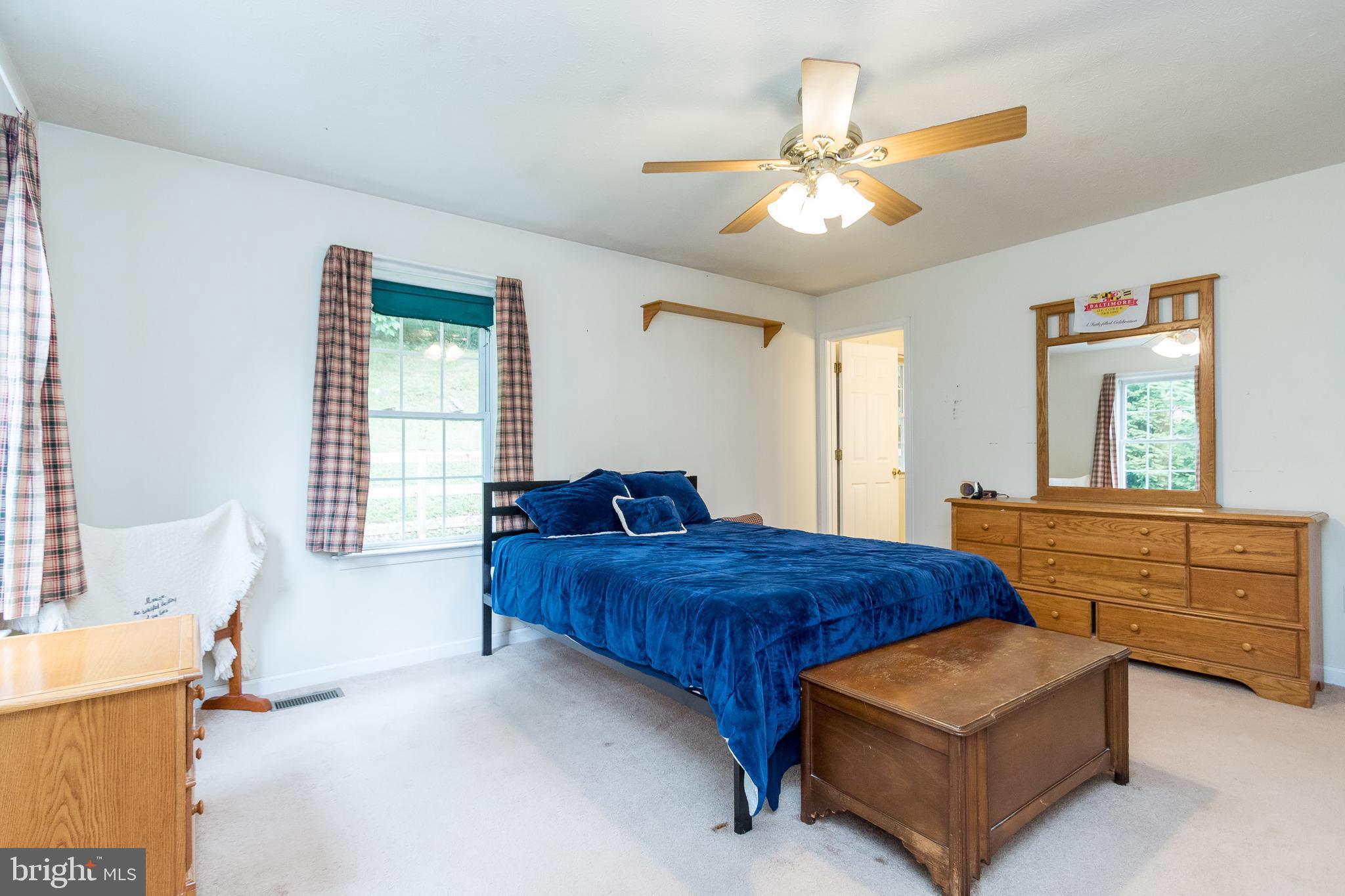 956 Wilderness Road Linden, VA 22642 - Photo 16 of 42 Master Bedroom