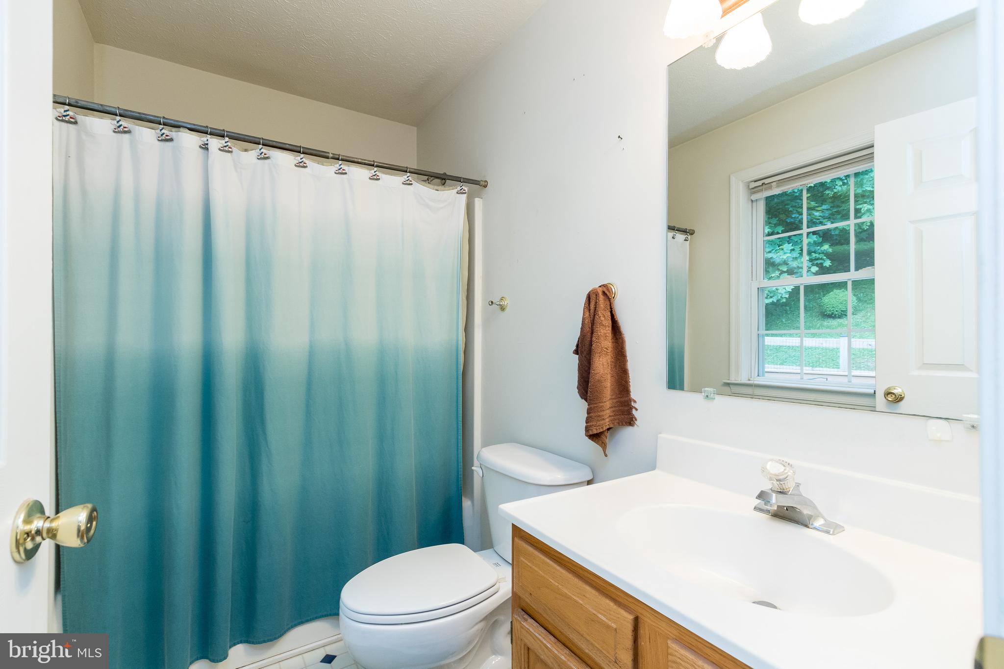 956 Wilderness Road Linden, VA 22642 - Photo 18 of 42 Master Bath