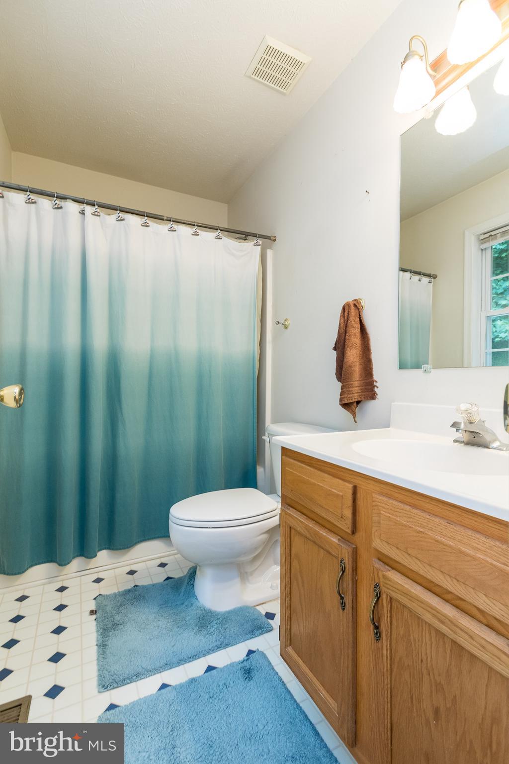 956 Wilderness Road Linden, VA 22642 - Photo 19 of 42 Master Bath