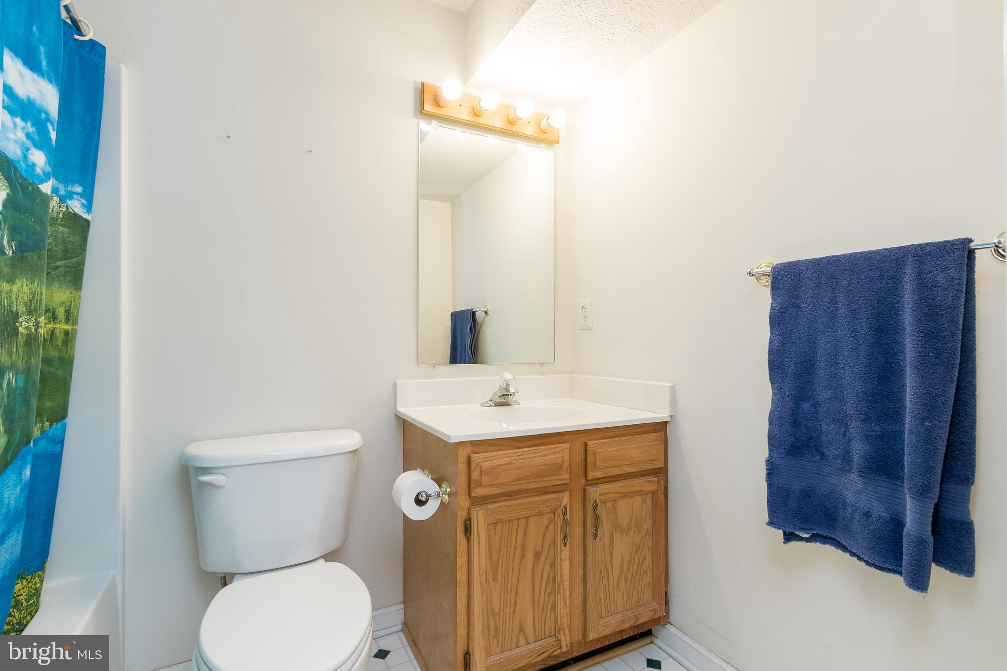956 Wilderness Road Linden, VA 22642 - Photo 29 of 42 Bathroom 3 located on Lower Level