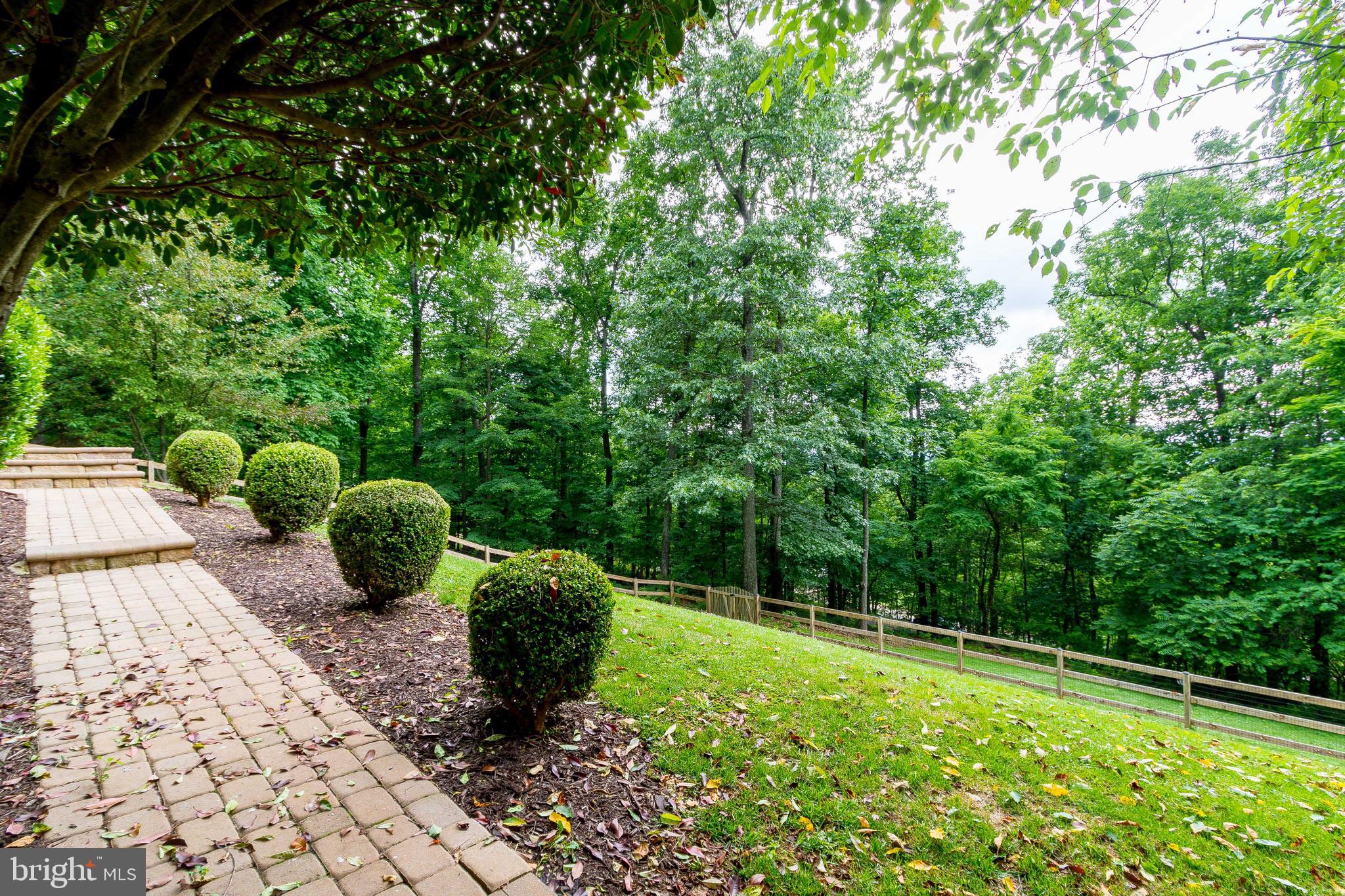 956 Wilderness Road Linden, VA 22642 - Photo 3 of 42 Front Walkway to Porch