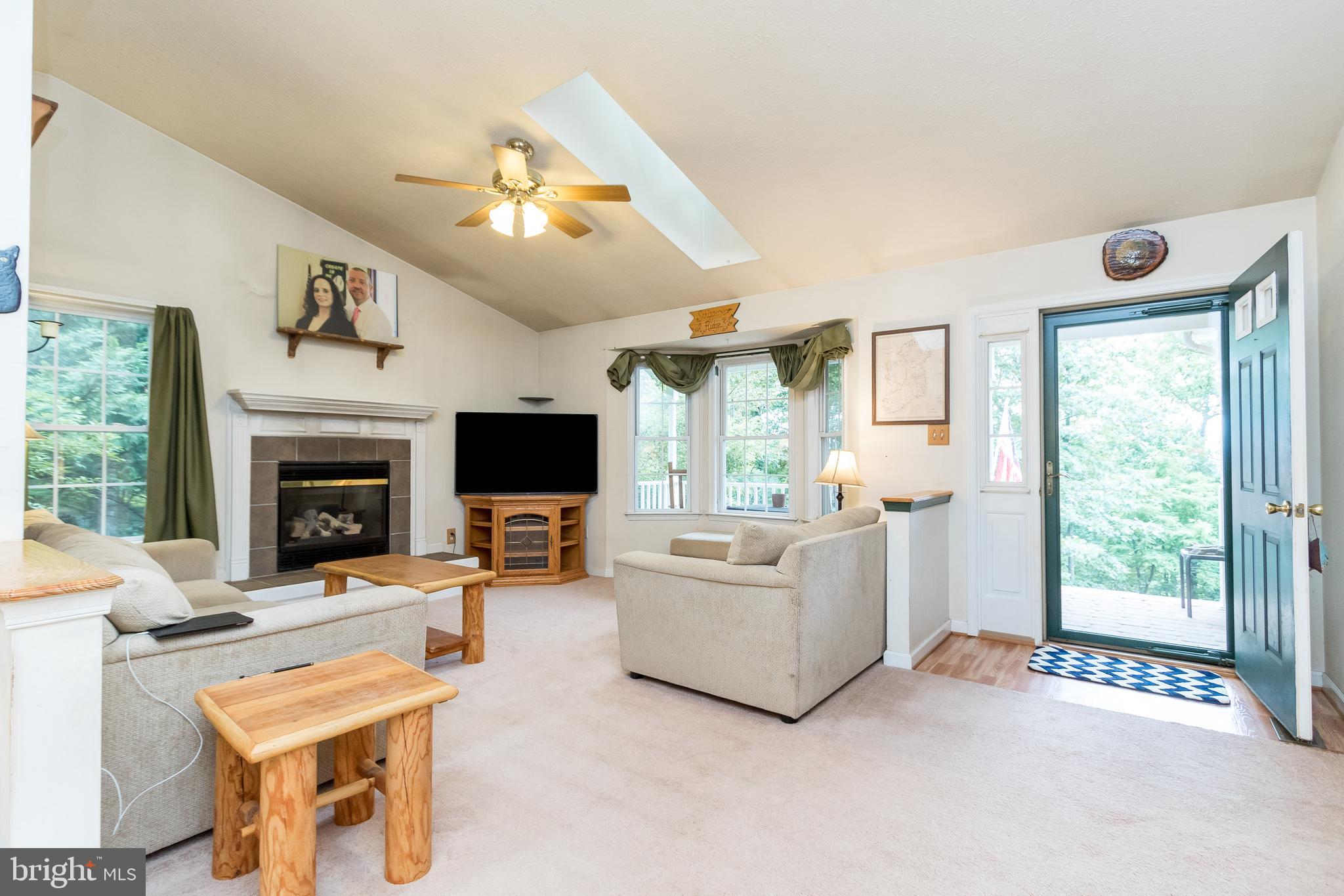 956 Wilderness Road Linden, VA 22642 - Photo 7 of 42 Living Room with Front Door Entrance