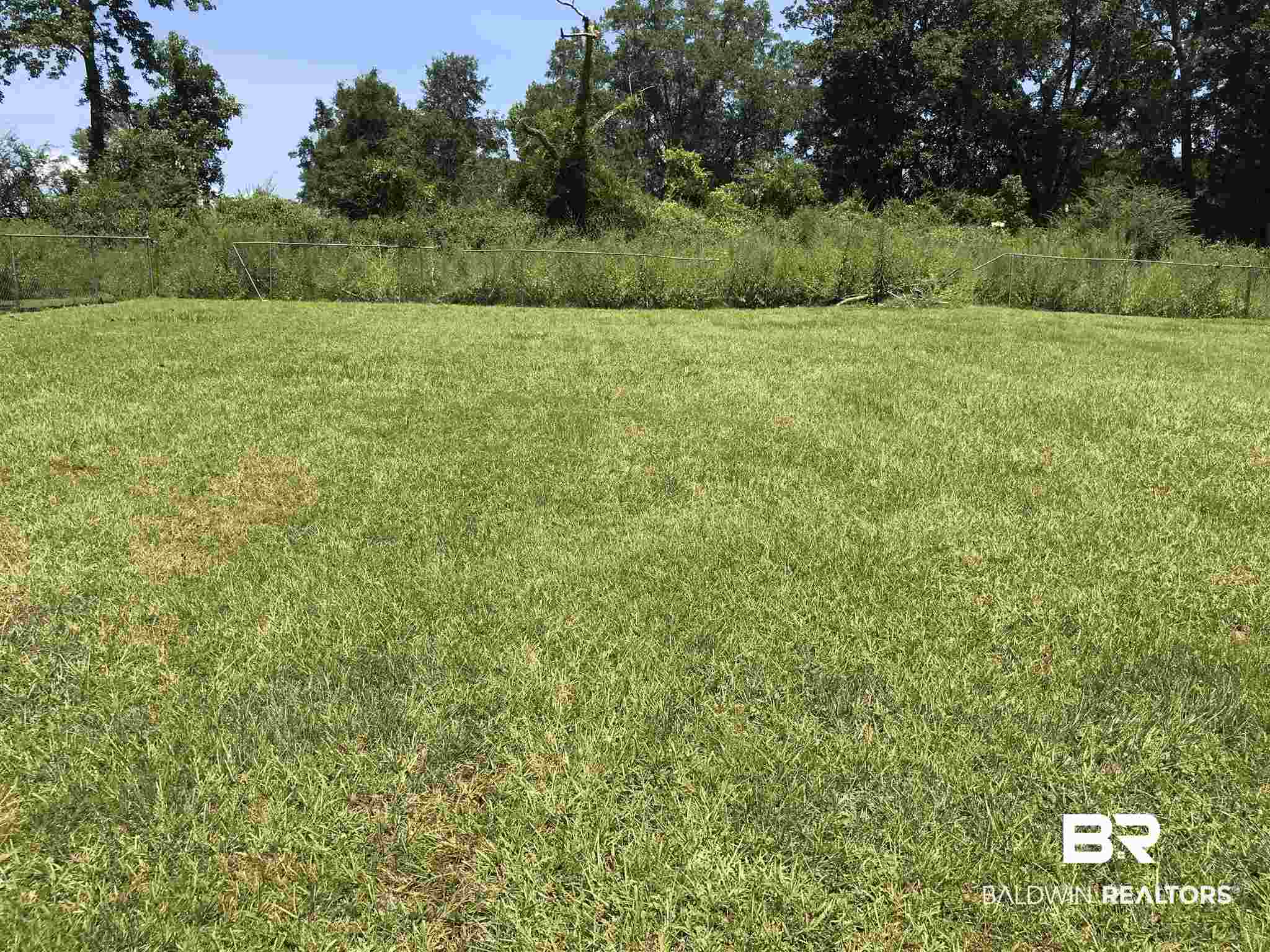 2221 Highway 83 Evergreen, AL 36401 - Photo 16 of 17 Yard