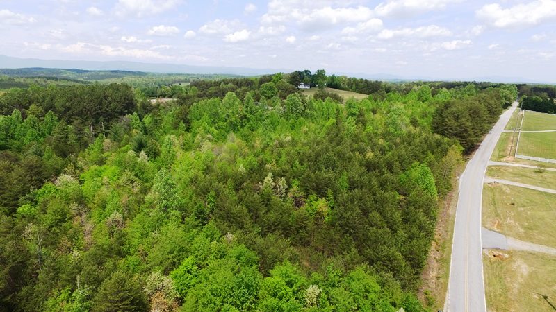 0 Little Pond Road Easley, SC 29640 - Photo 4 of 5