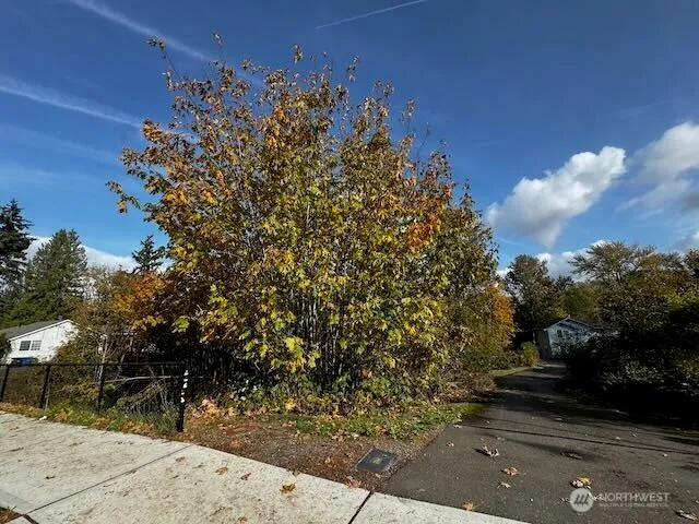 a view of outdoor space and yard