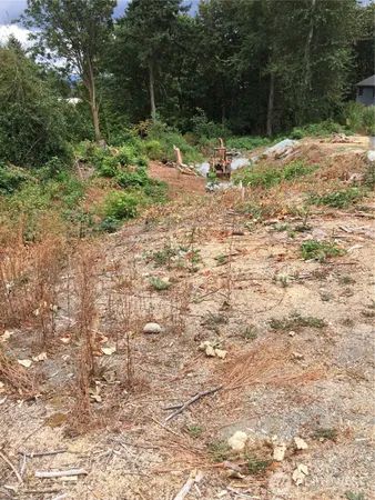 a fire hydrant in the middle of a yard