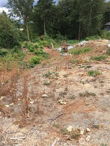 a fire hydrant in the middle of a yard